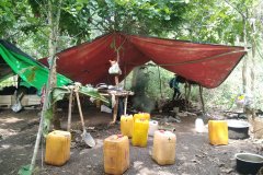 IDP from Deemawso Township